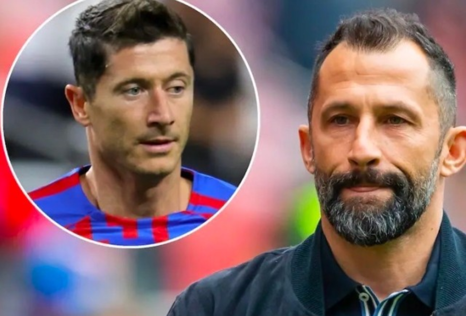 让他快速被 让他快速被