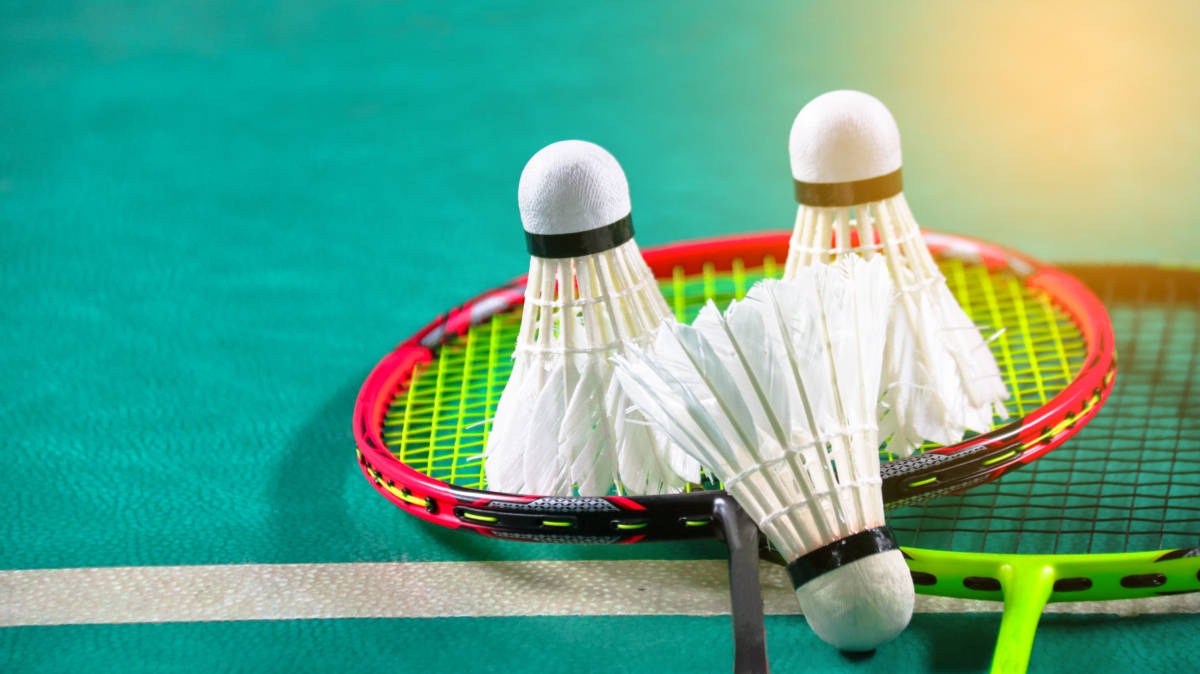 国王展示出 国王展示出